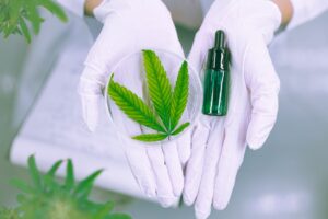 peut on utiliser du cbd chez les animaux