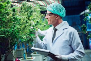 produits a base de cbd